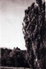 Goetheanum_213.jpg